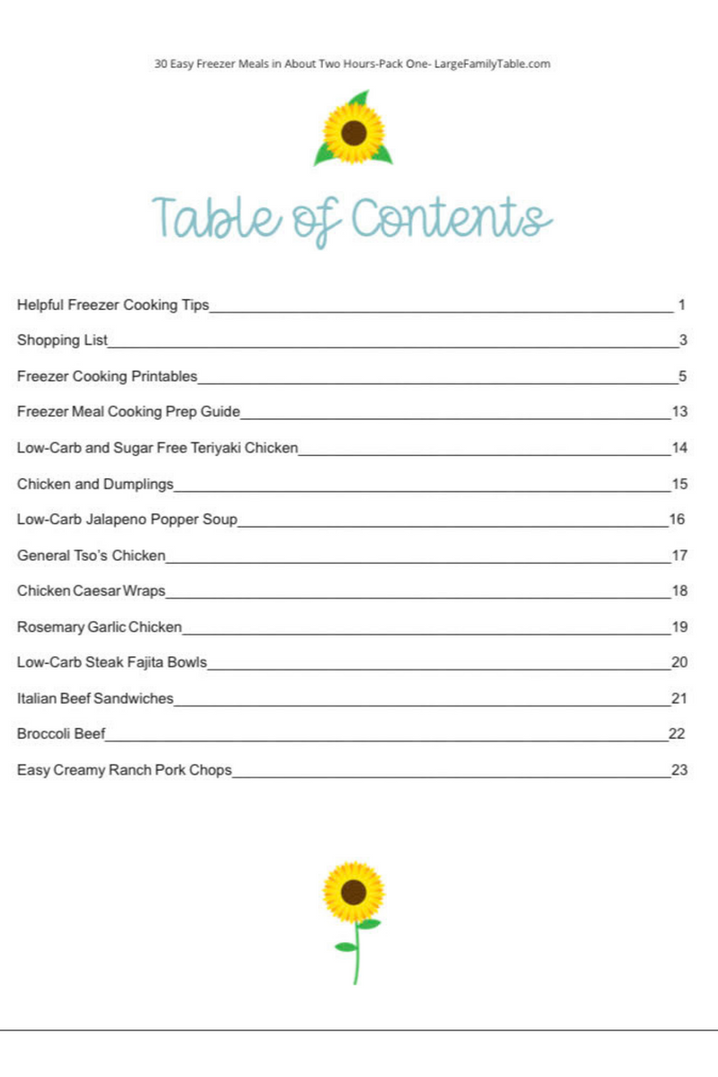Easy Skillet Dinners {20 pages} – Jamerrill Stewart, Large Family