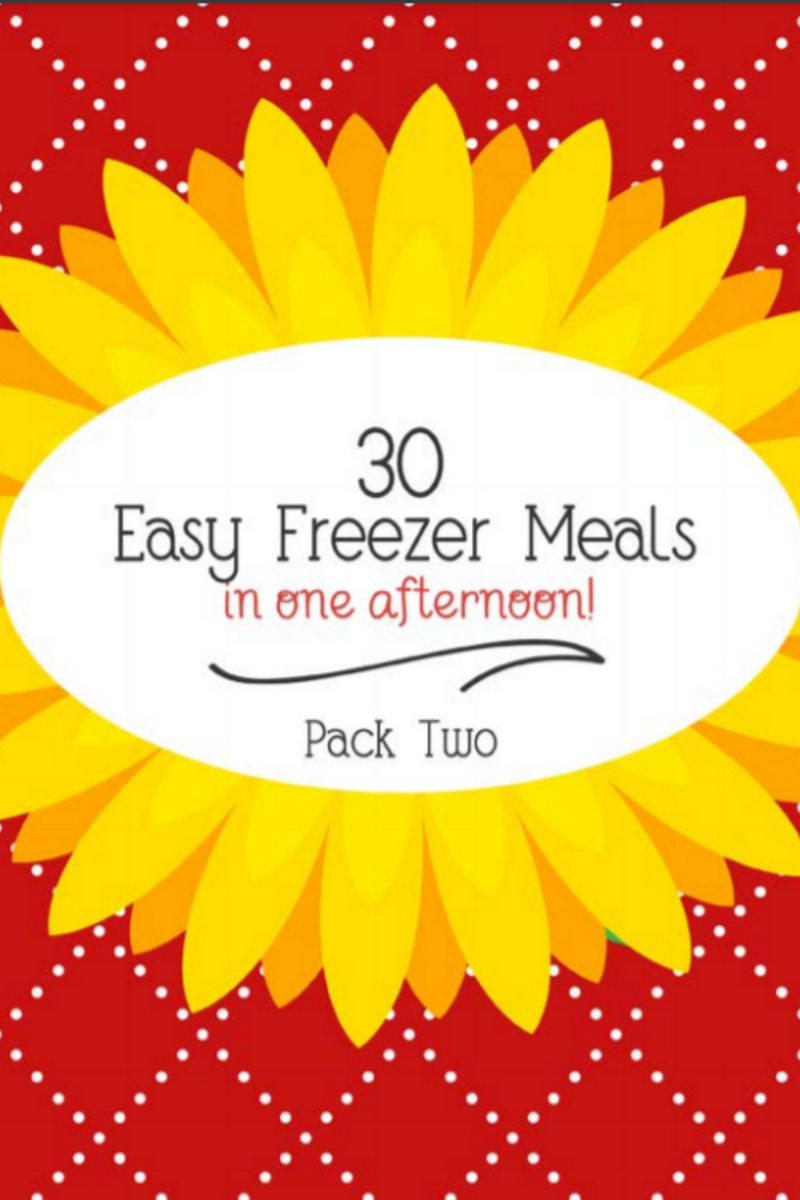 30 Easy & Delicious Freezer Meal Prep Recipes – Souper Cubes®