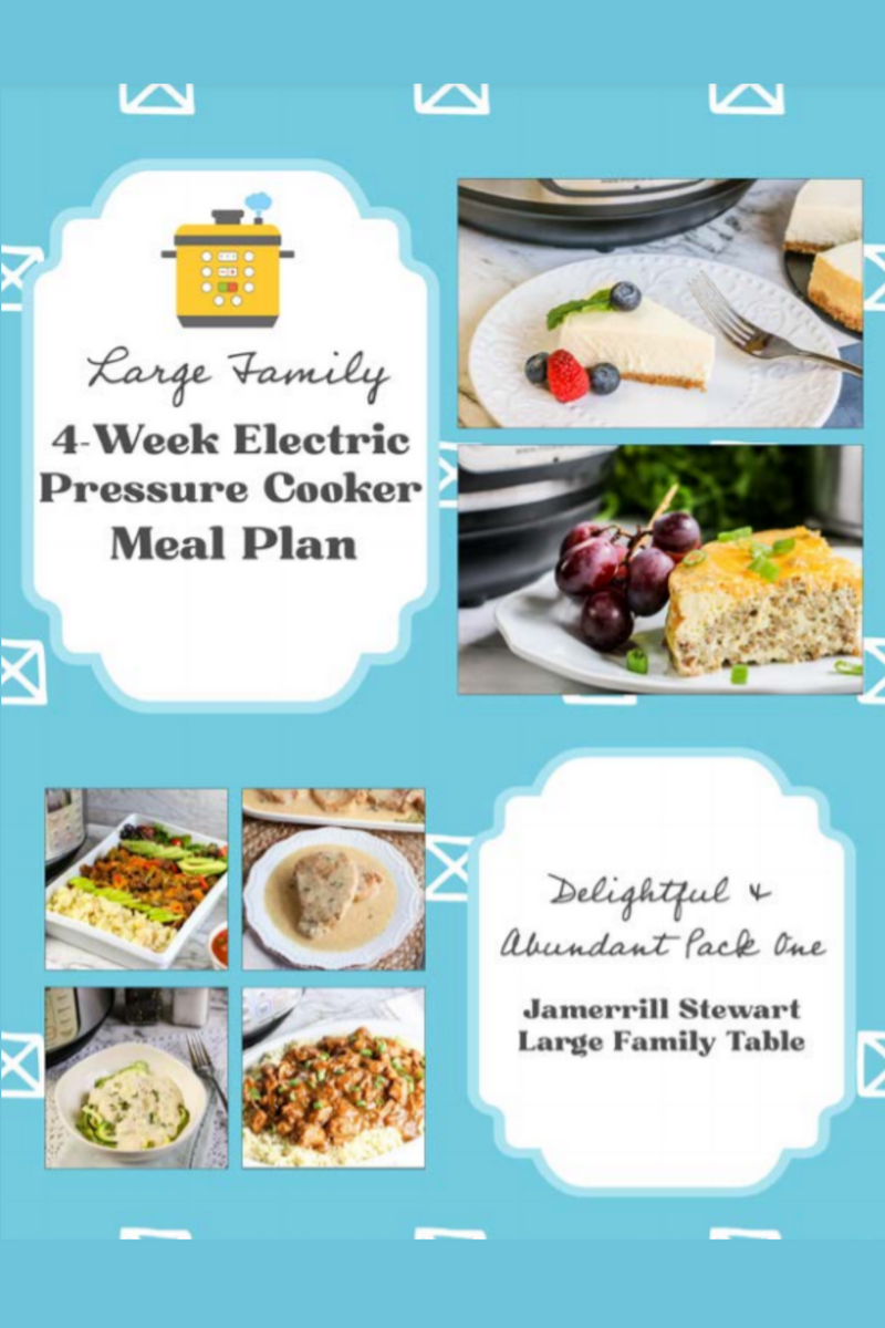 Easy Skillet Dinners {20 pages} – Jamerrill Stewart, Large Family