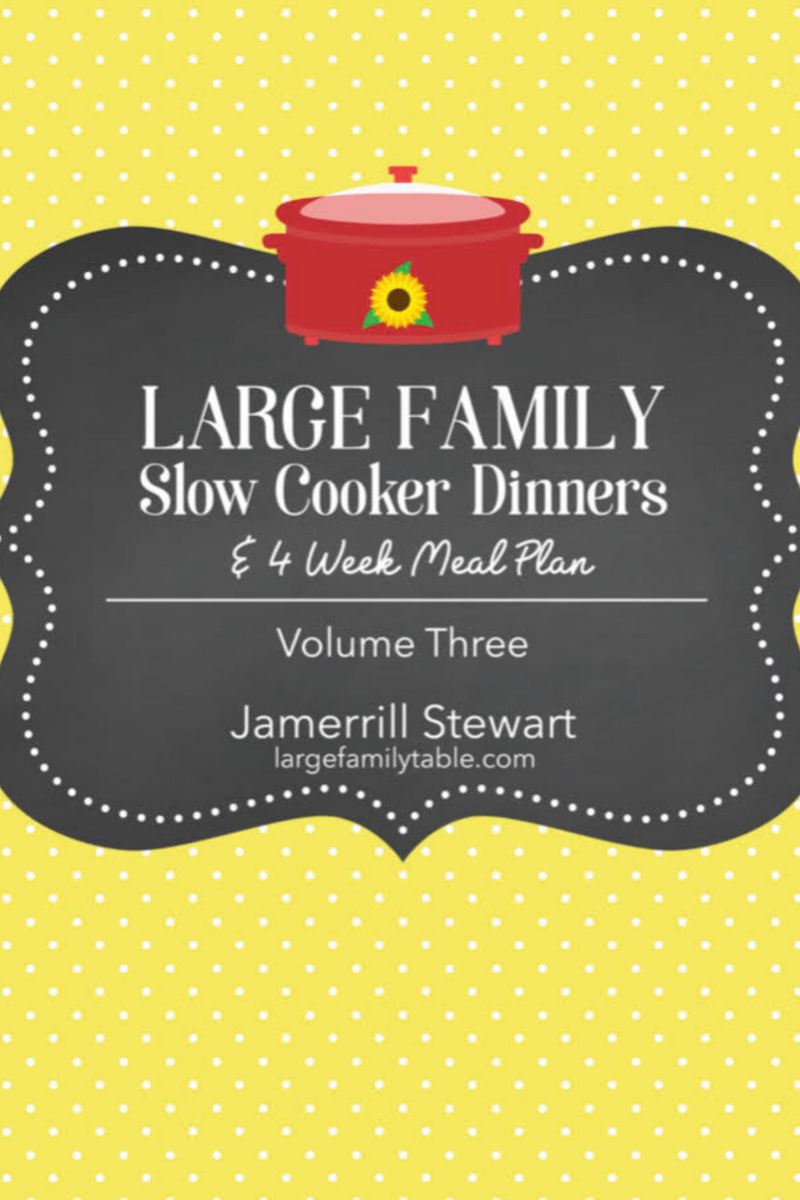 Large Family Slow Cooker Dinners {39 pages} Jamerrill Stewart, Large