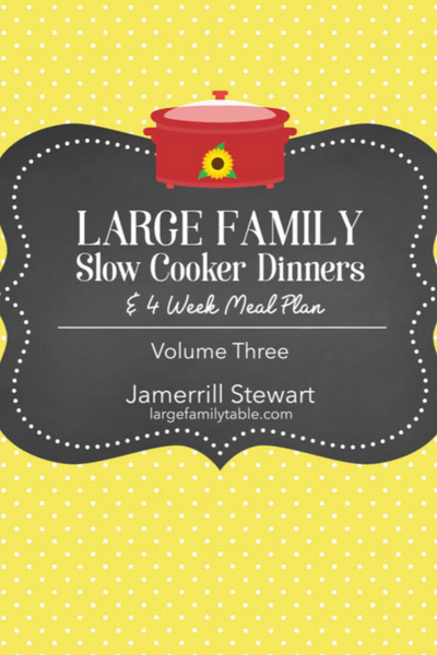 Large Family Slow Cooker Dinners {39 pages}