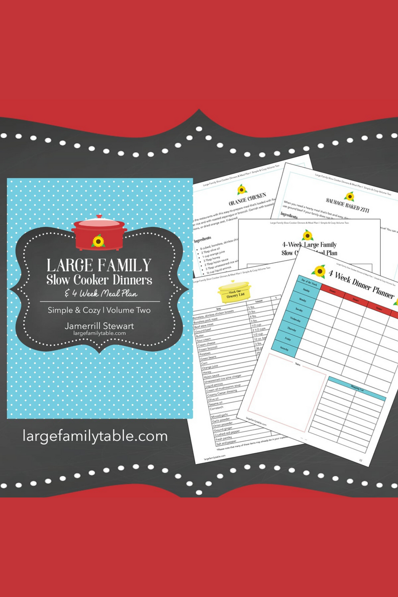 Large Family Slow Cooker Dinners {41 pages} Jamerrill Stewart, Large