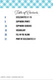 Ecclesiastes 3 Table Pack {21 pages}
