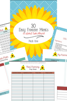2020 MEGA Bundle {818 pages}