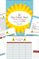 30 Easy Freezer Meals {27 pages}